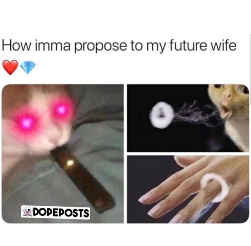 How imma propose to my future wife DOPEPOSTS