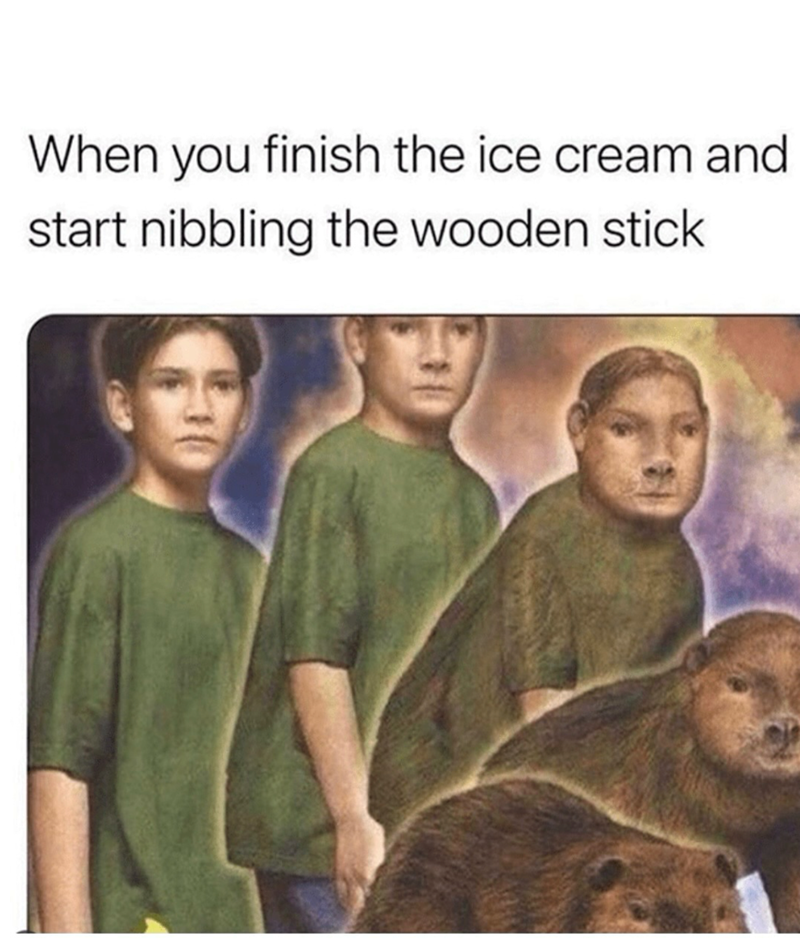 When you finish the ice cream and start nibbling the wooden stick