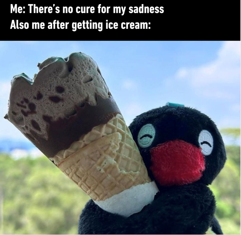 Me: There's no cure for my sadness Also me after getting ice cream:
