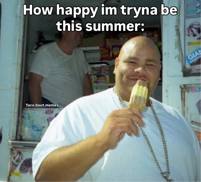 How happy im tryna be this summer: Taco.bout.memes GIA SANDW