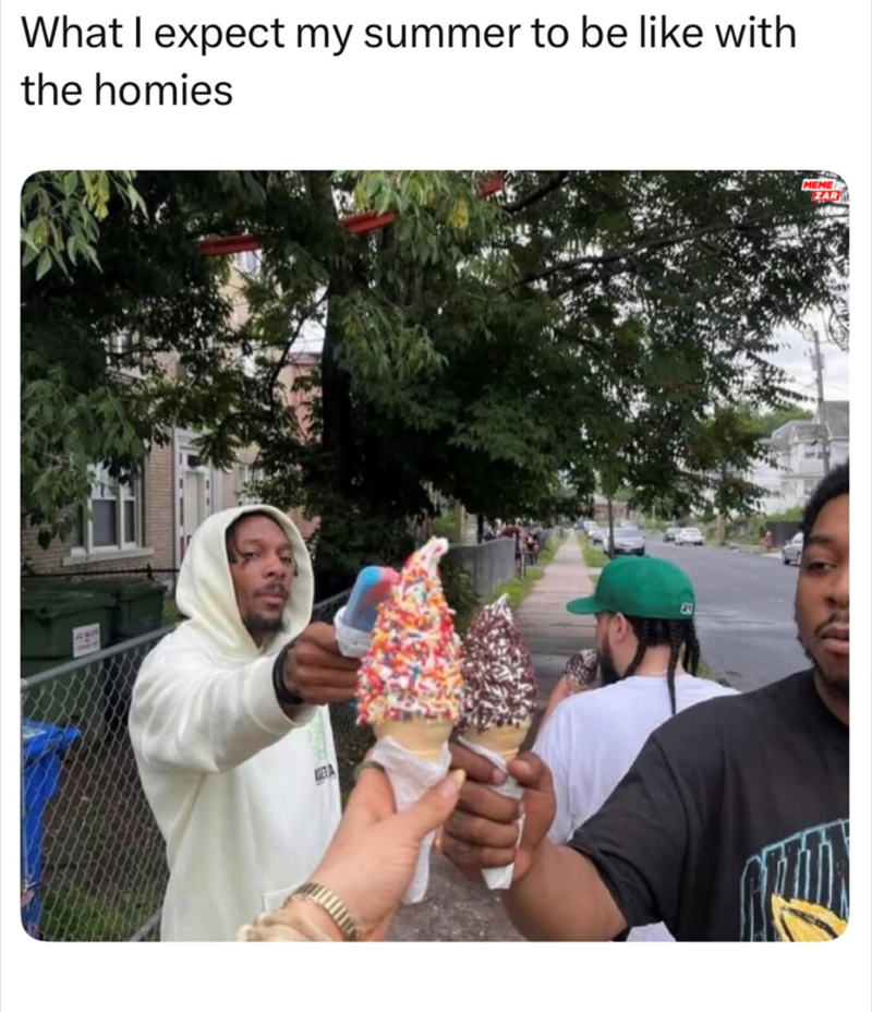 What I expect my summer to be like with the homies ETA MEME ZAR