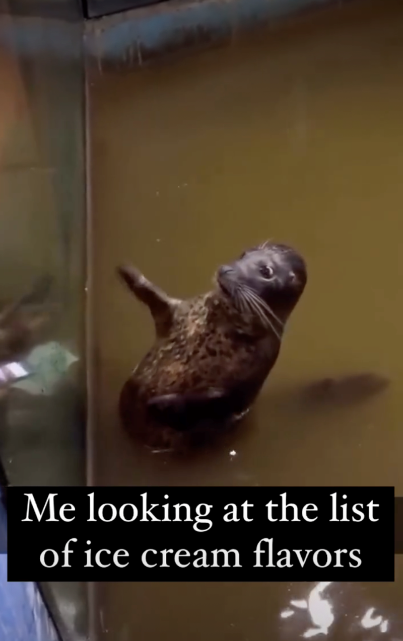 Me looking at the list of ice cream flavors