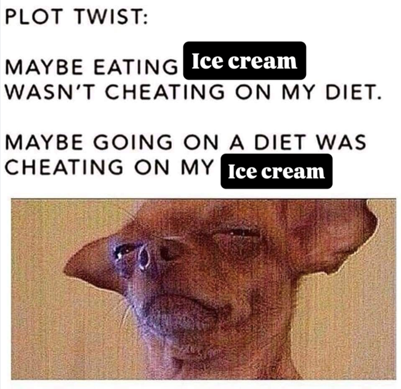 PLOT TWIST: MAYBE EATING Ice cream WASN'T CHEATING ON MY DIET. MAYBE GOING ON A DIET WAS CHEATING ON MY Ice cream