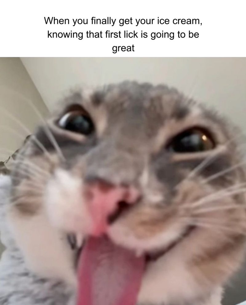 When you finally get your ice cream, knowing that first lick is going to be great