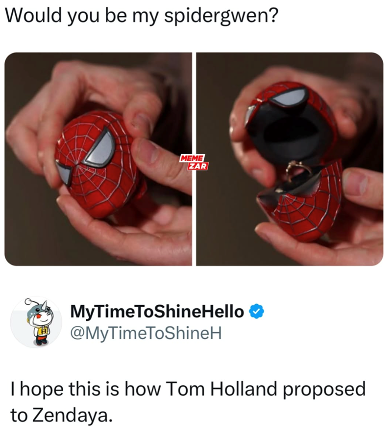 Would you be my spidergwen? MEME ZAR MyTimeToShineHello @MyTimeToShineH I hope this is how Tom Holland proposed to Zendaya.
