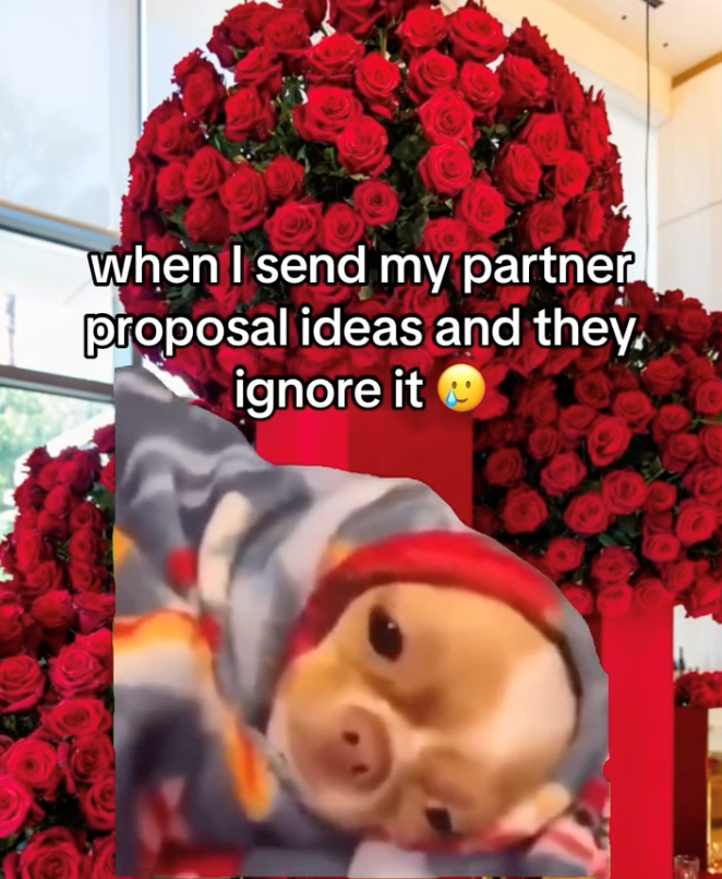 when I send my partner proposal ideas and they ignore it