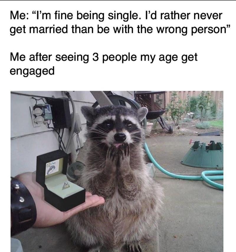 Me: "I'm fine being single. I'd rather never get married than be with the wrong person" Me after seeing 3 people my age get engaged