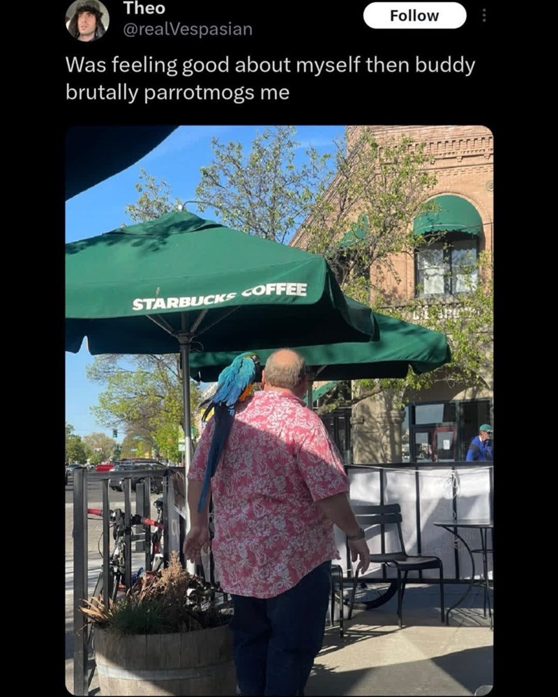 Theo Follow ... @realVespasian Was feeling good about myself then buddy brutally parrotmogs me STARBUCKS COFFEE