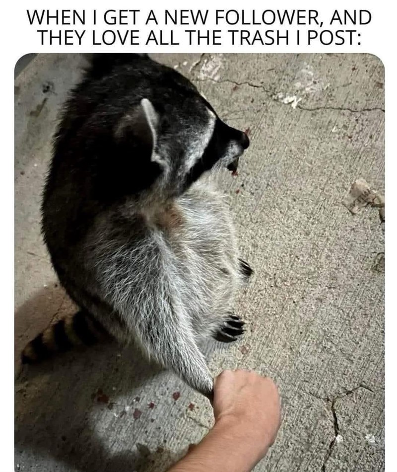 WHEN I GET A NEW FOLLOWER, AND THEY LOVE ALL THE TRASH I POST: