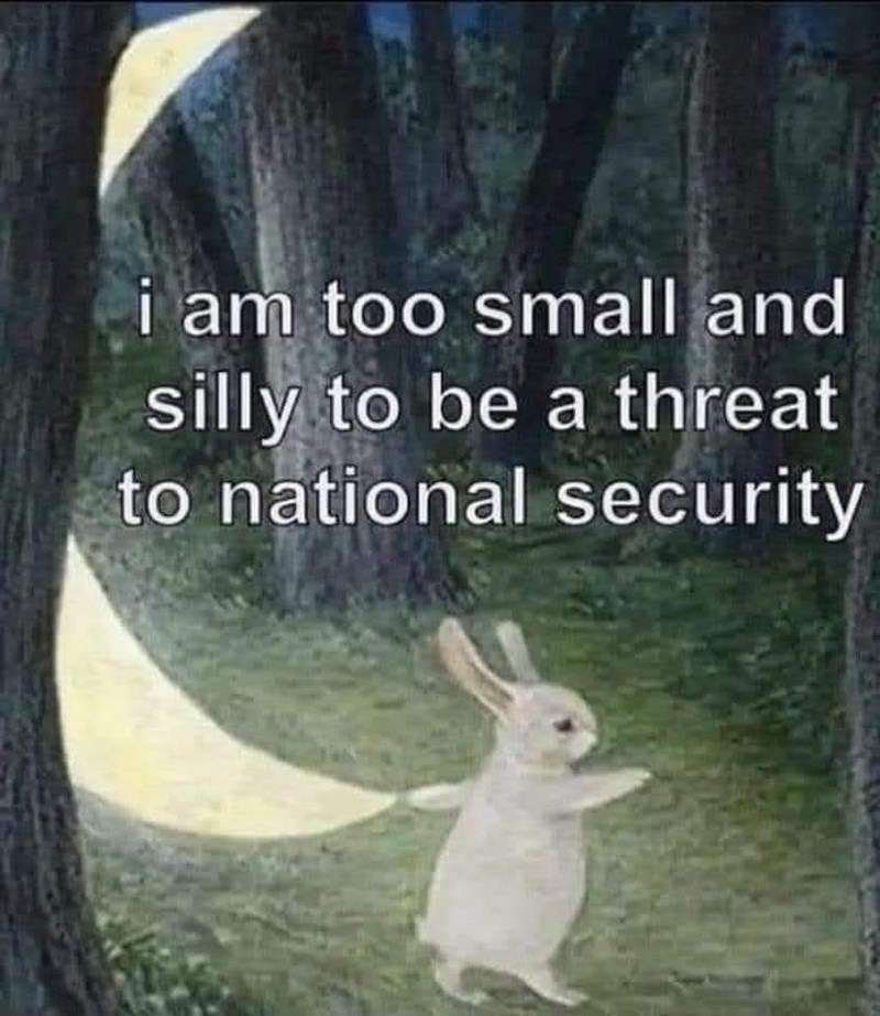 i am too small and silly to be a threat to national security