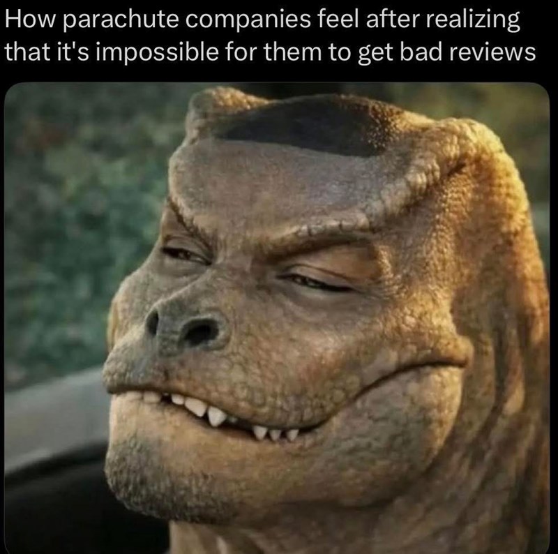 How parachute companies feel after realizing that it's impossible for them to get bad reviews