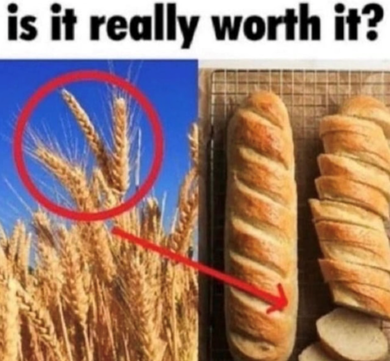 is it really worth it?