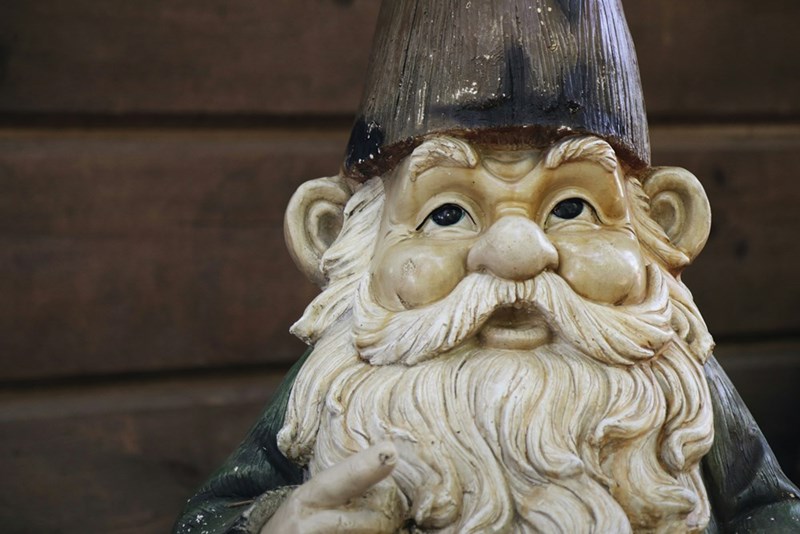 A gnomes close up face.