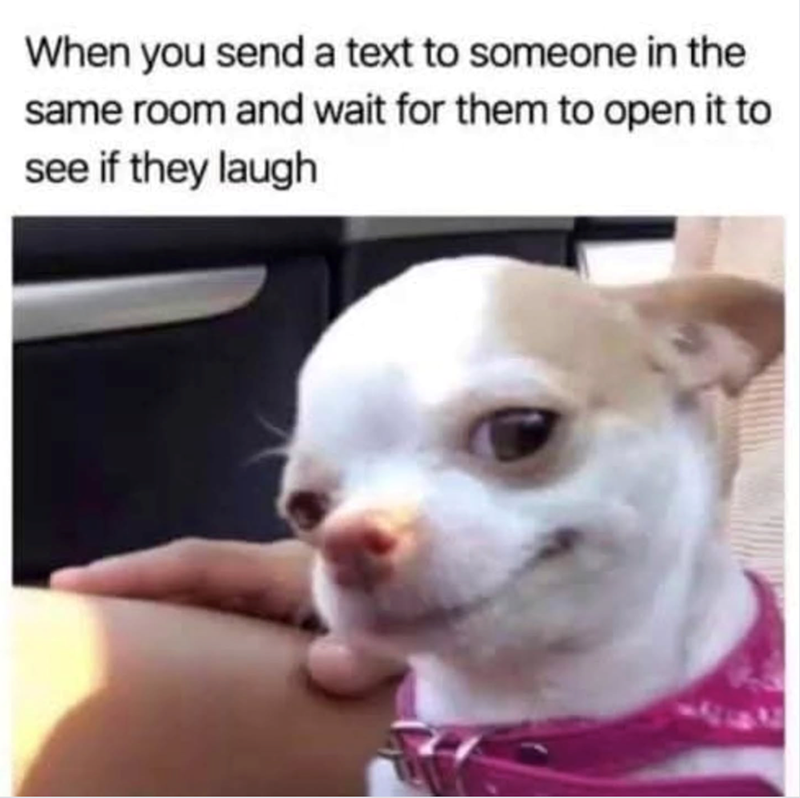 When you send a text to someone in the same room and wait for them to open it to see if they laugh