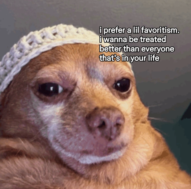 i prefer a lil favoritism. i wanna be treated better than everyone that's in your life
