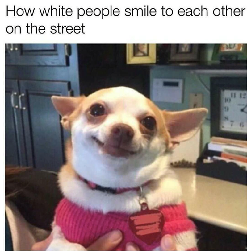 How white people smile to each other on the street 10 12