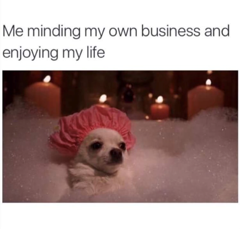 Me minding my own business and enjoying my life