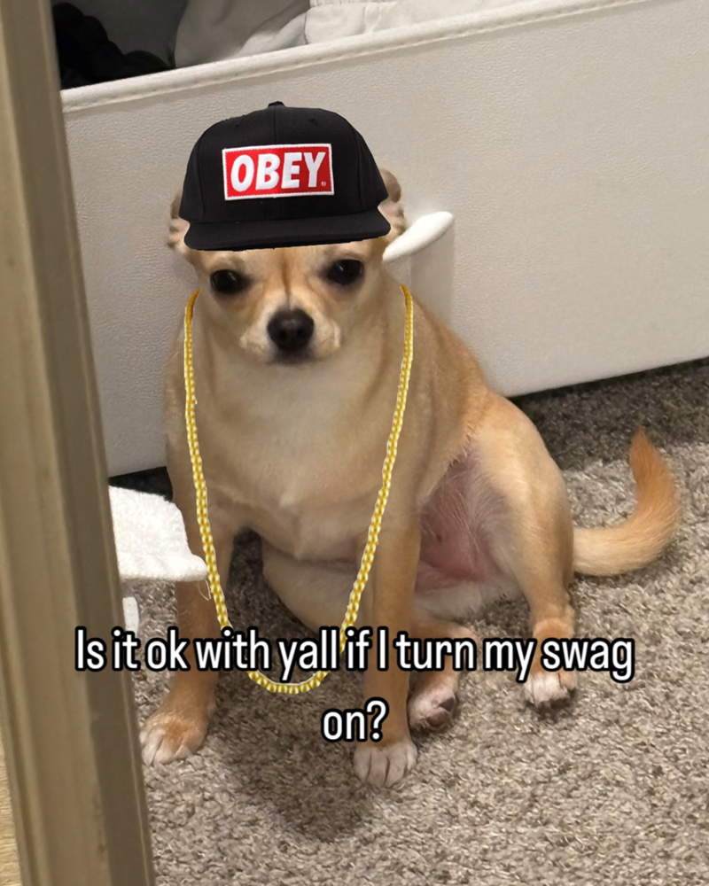 OBEY Is it ok with yall if I turn my swag on?
