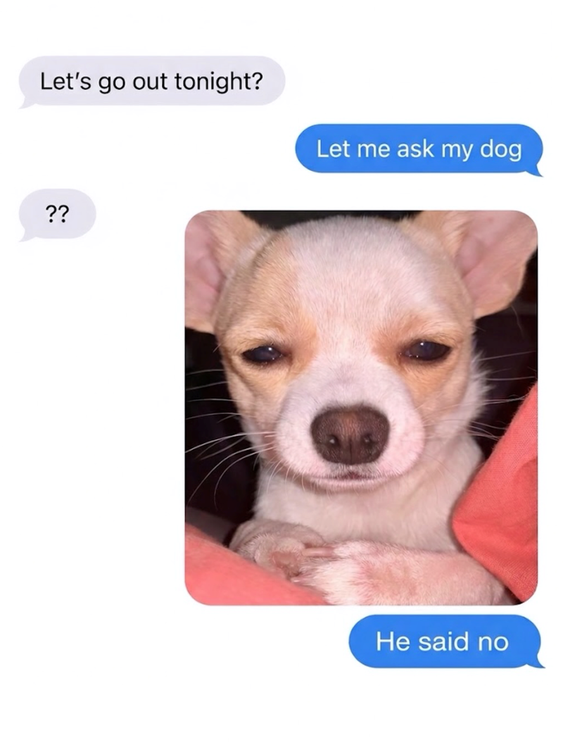 Let's go out tonight? Let me ask my dog ?? He said no