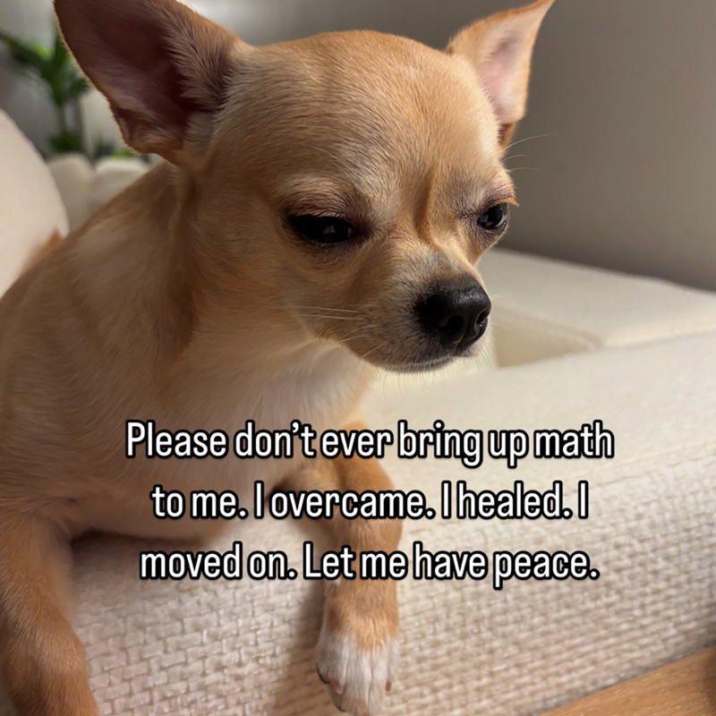 Please don't ever bring up math to me. I overcame. I healed. I moved on. Let me have peace.