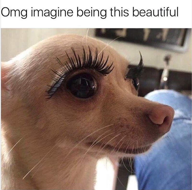 Omg imagine being this beautiful