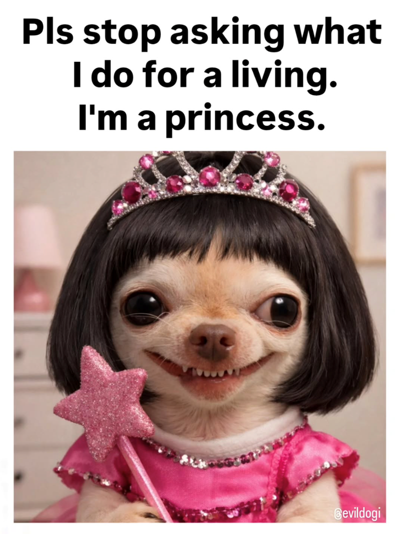 Pls stop asking what I do for a living. I'm a princess. Bevildogi