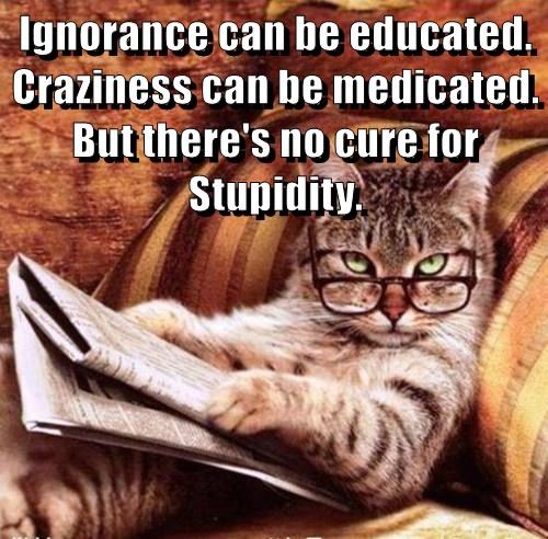 Cheezburger Image 10627578368