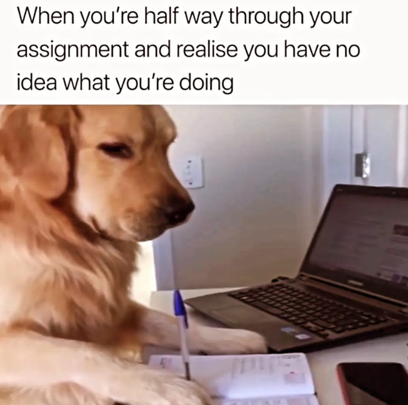 When you're half way through your assignment and realise you have no idea what you're doing