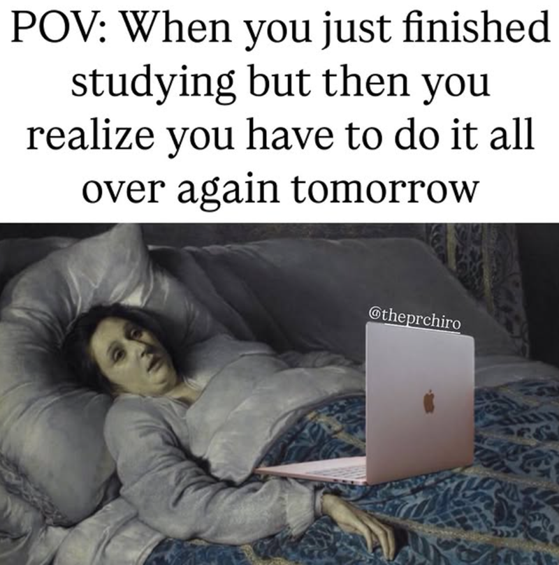 POV: When you just finished studying but then you realize you have to do it all over again tomorrow @theprchiro