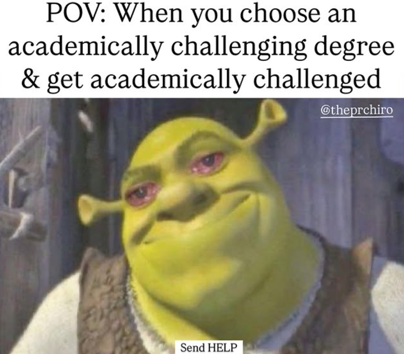 POV: When you choose an academically challenging degree & get academically challenged @theprchiro Send HELP