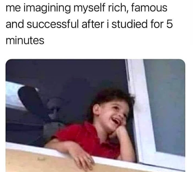 me imagining myself rich, famous and successful after i studied for 5 minutes