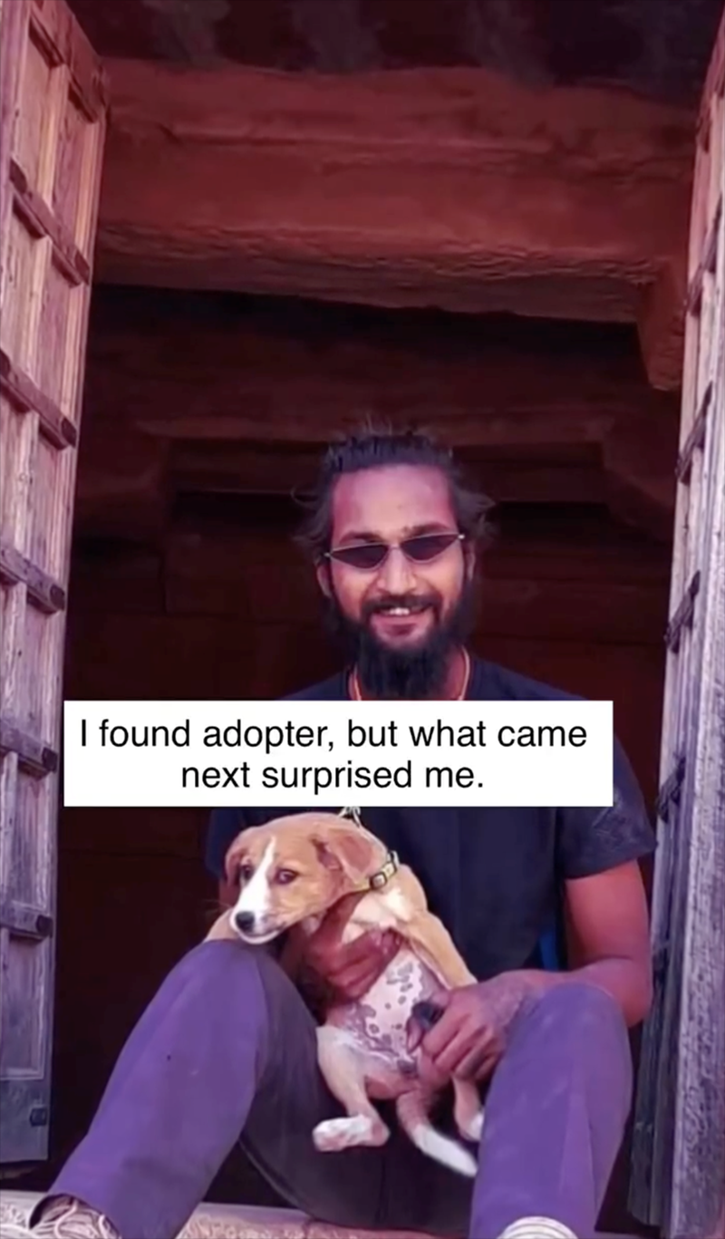 I found adopter, but what came next surprised me.