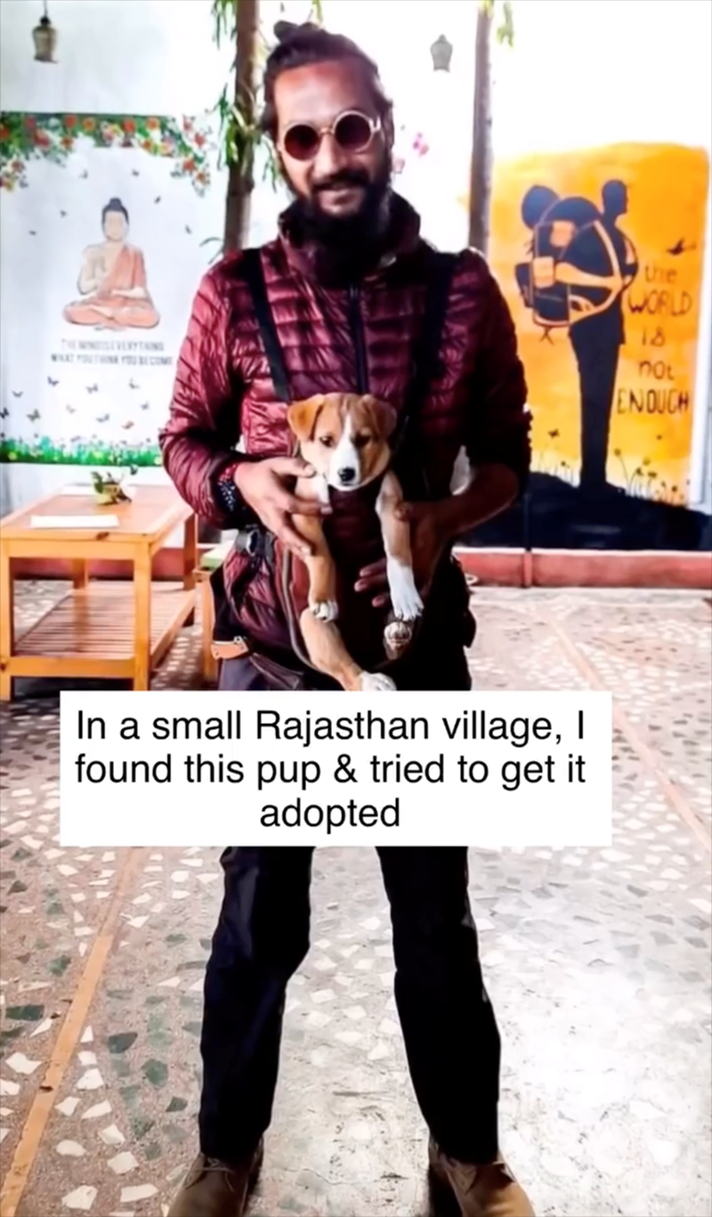 WHAT In a small Rajasthan village, I found this pup & tried to get it adopted the WORLD 18 not ENDUCH