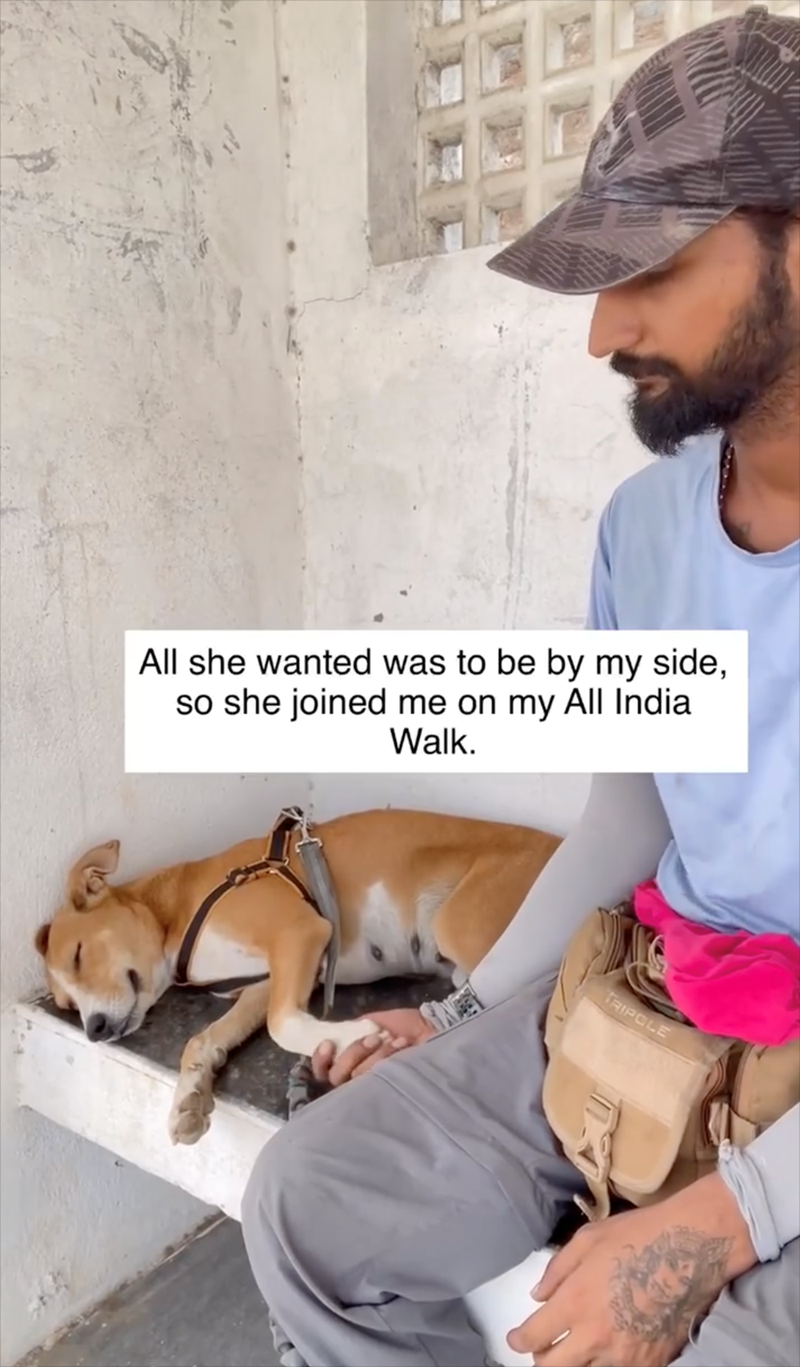 All she wanted was to be by my side, so she joined me on my All India Walk. TRIPOLE
