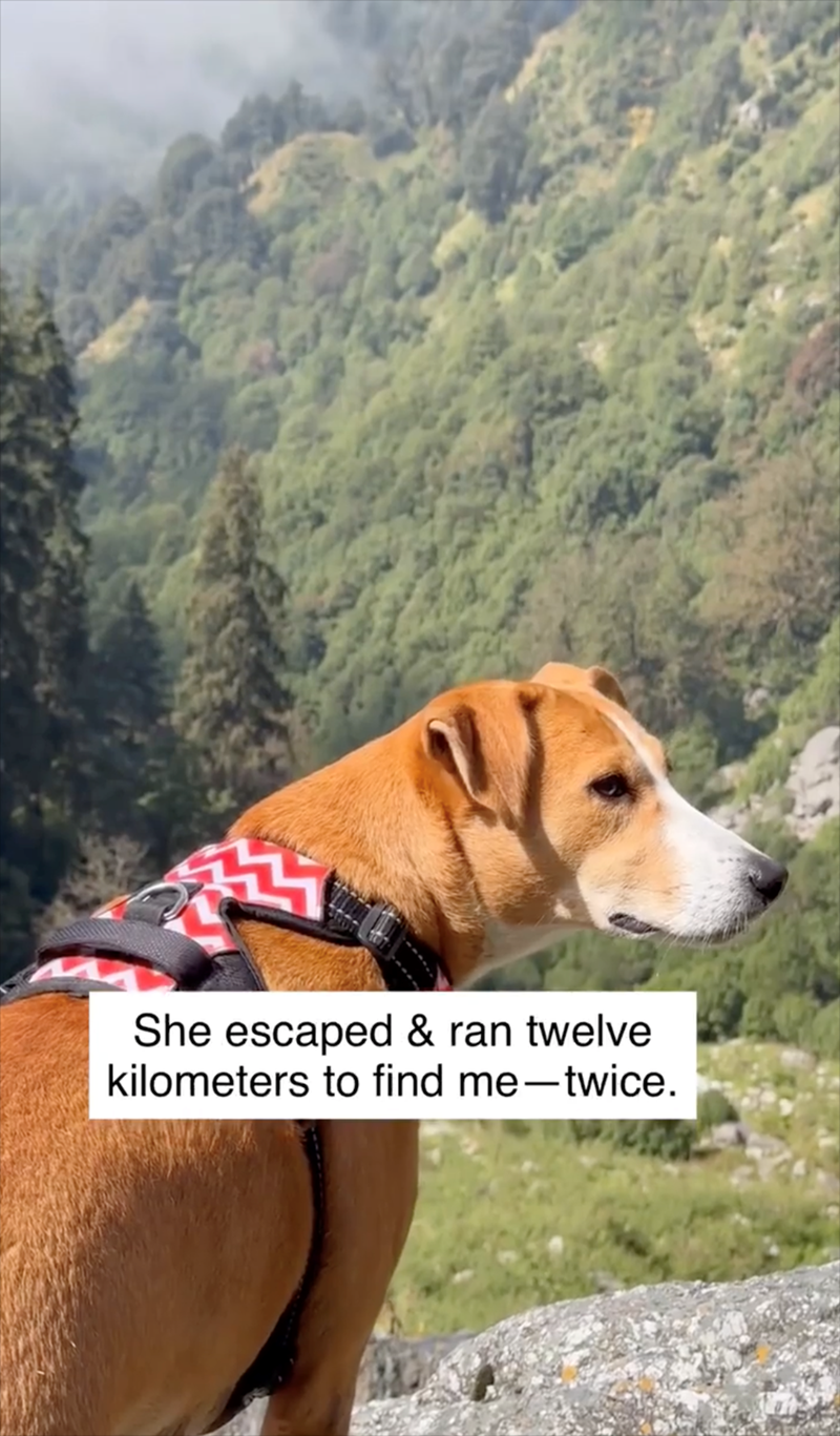 She escaped & ran twelve kilometers to find me-twice.