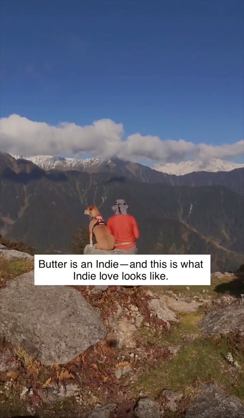 Butter is an Indie-and this is what Indie love looks like.