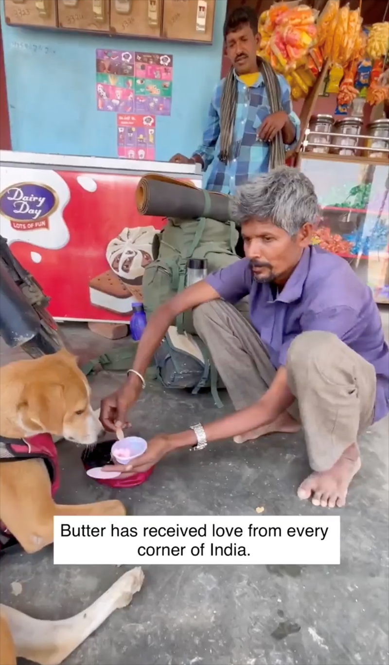 2323 3320 Dairy Day LOTS OF FUN TE B Butter has received love from every corner of India.