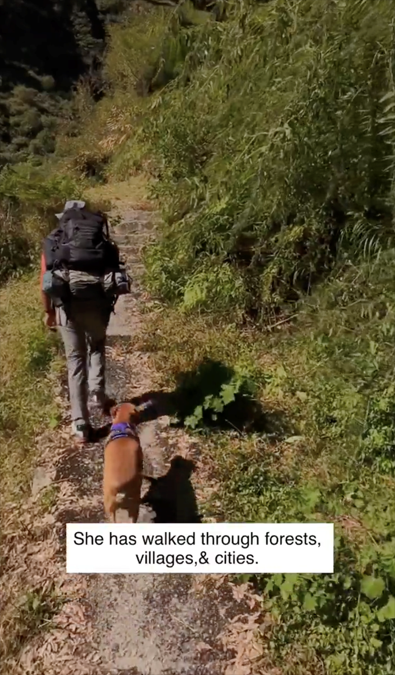 She has walked through forests, villages,& cities.