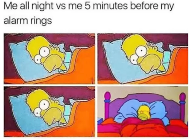 Me all night vs me 5 minutes before my alarm rings