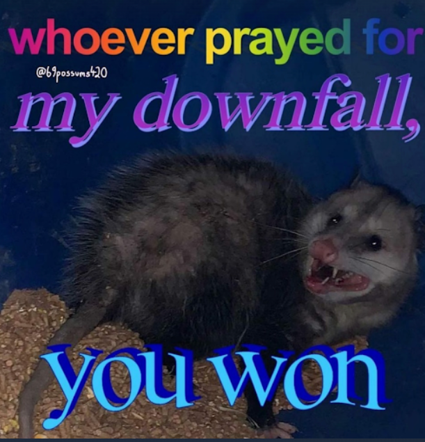 whoever prayed for @69possums420 my downfall, you won