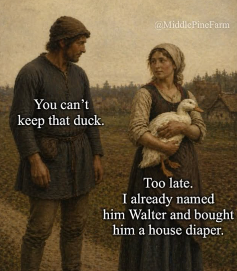 You can't keep that duck. @MiddlePineFarm Too late. I already named him Walter and bought him a house diaper.