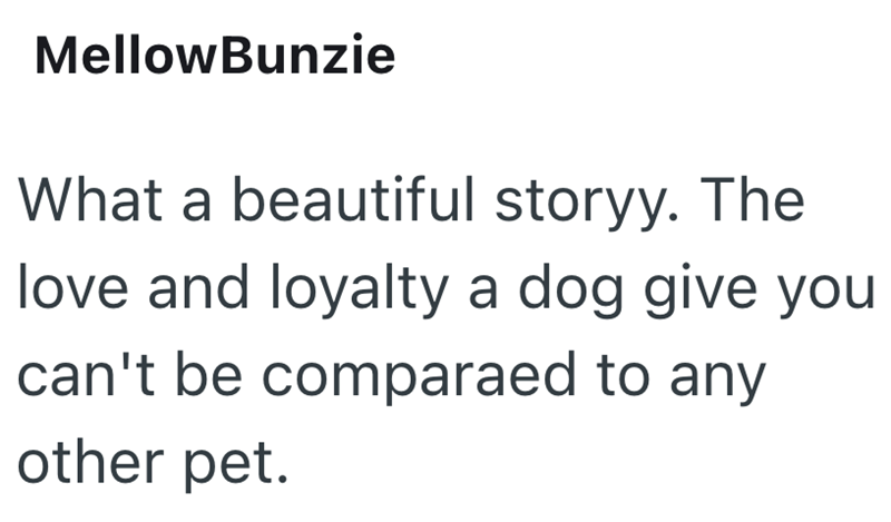 MellowBunzie What a beautiful storyy. The love and loyalty a dog give you can't be compared to any other pet.
