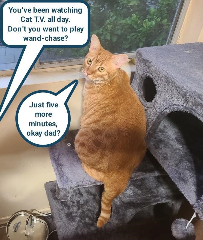 Cheezburger Image 10627615232