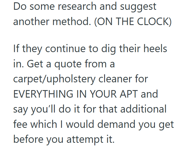 Do some research and suggest another method. (ON THE CLOCK) If they continue to dig their heels in. Get a quote from a carpet/upholstery cleaner for EVERYTHING IN YOUR APT and say you'll do it for that additional fee which I would demand you get before you attempt it.