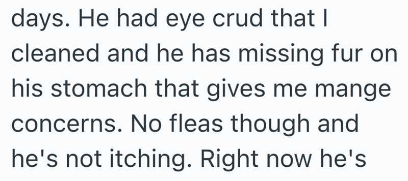 days. He had eye crud that I cleaned and he has missing fur on his stomach that gives me mange concerns. No fleas though and he's not itching. Right now he's