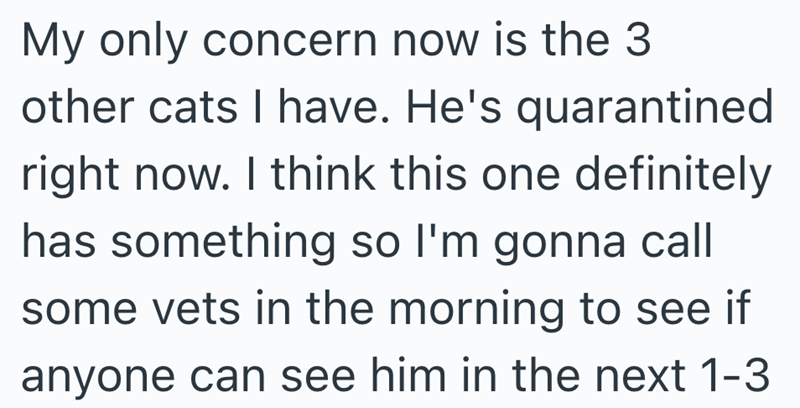 My only concern now is the 3 other cats I have. He's quarantined right now. I think this one definitely has something so I'm gonna call some vets in the morning to see if anyone can see him in the next 1-3