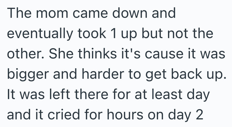The mom came down and eventually took 1 up but not the other. She thinks it's cause it was bigger and harder to get back up. It was left there for at least day and it cried for hours on day 2