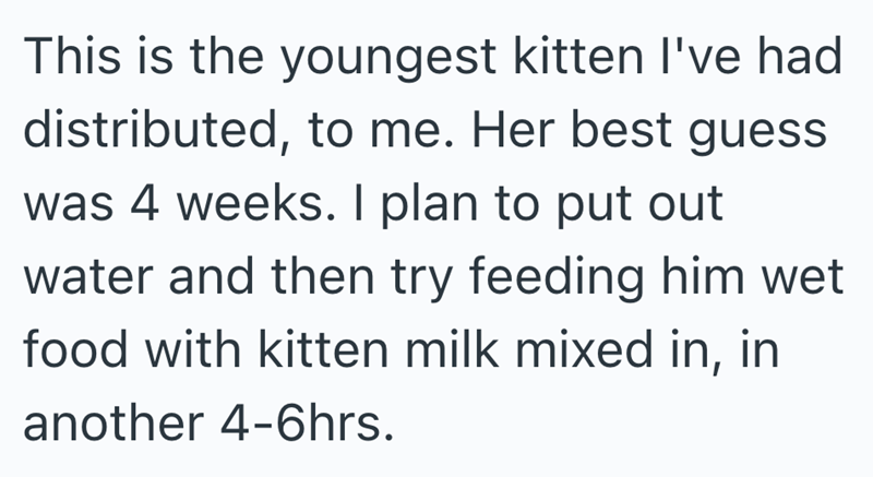 This is the youngest kitten I've had distributed, to me. Her best guess was 4 weeks. I plan to put out water and then try feeding him wet food with kitten milk mixed in, in another 4-6hrs.