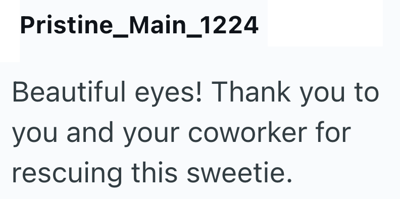 Pristine_Main_1224 Beautiful eyes! Thank you to you and your coworker for rescuing this sweetie.