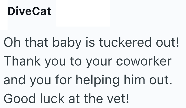 DiveCat Oh that baby is tuckered out! Thank you to your coworker and you for helping him out. Good luck at the vet!